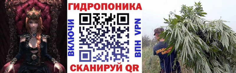 Бошки марихуана OG Kush  блэк спрут сайт  Тутаев 
